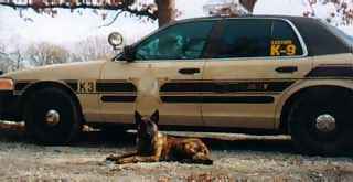 BADEN'S DUTCH SHEPHERD-SITTING IN FRONT OF THEIR VEHICLE 
